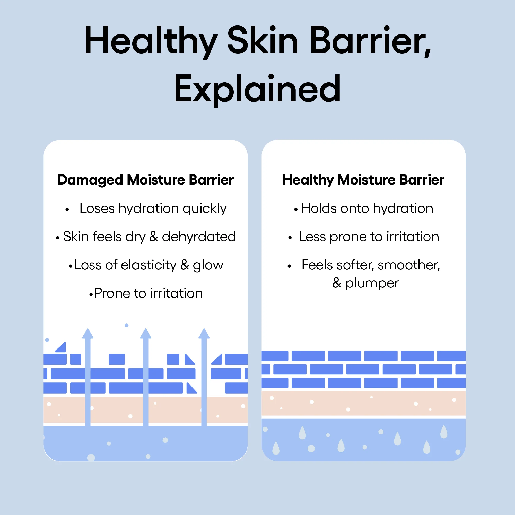 2743201-av-10_jpgv1726840123