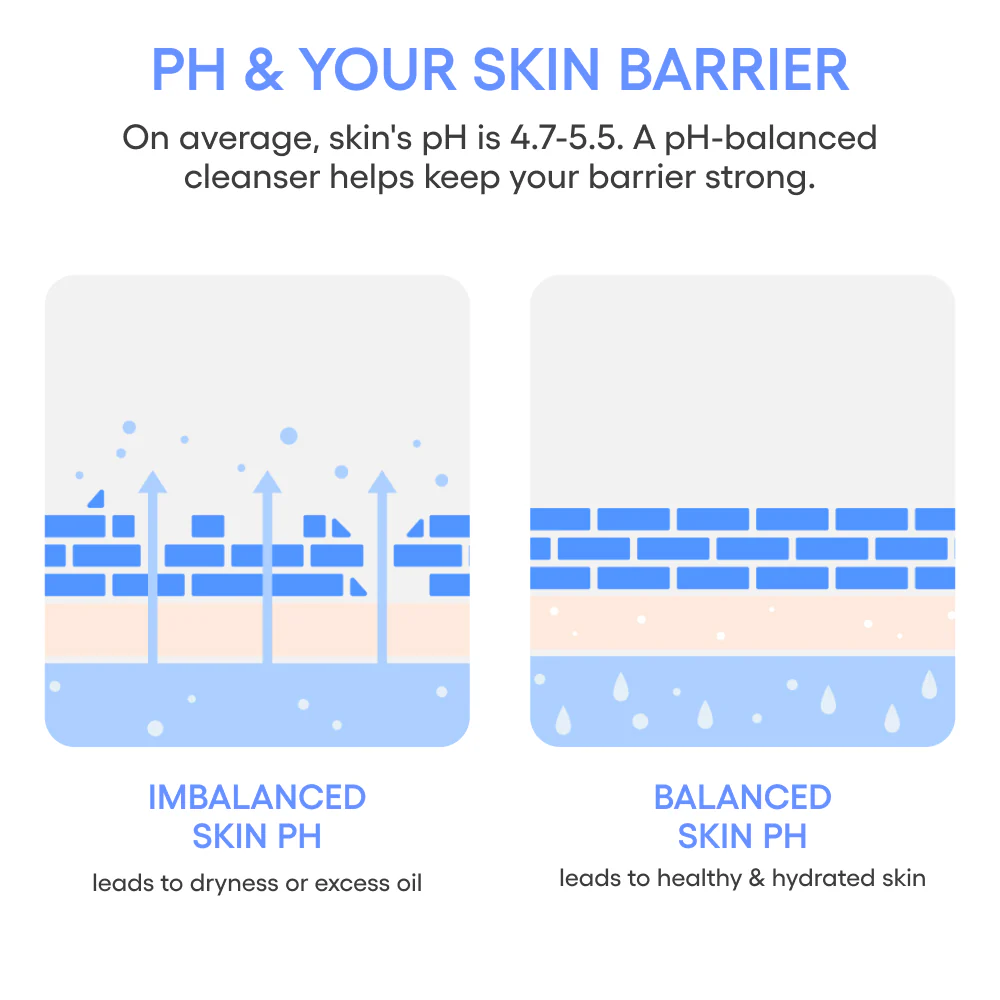 2837110-av-08_jpgv1734714015