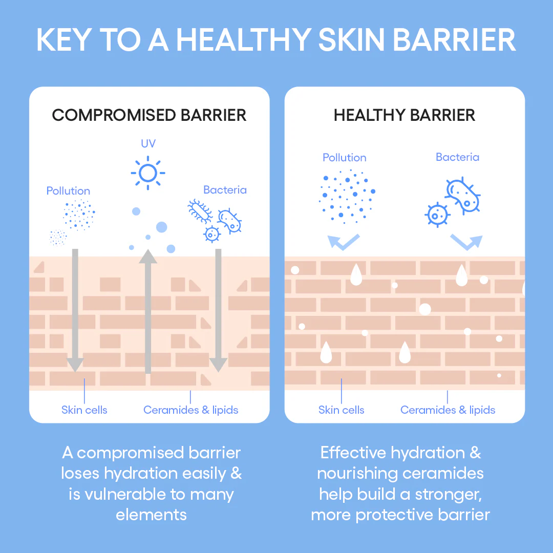 2842458-av-07_jpgv1760454143