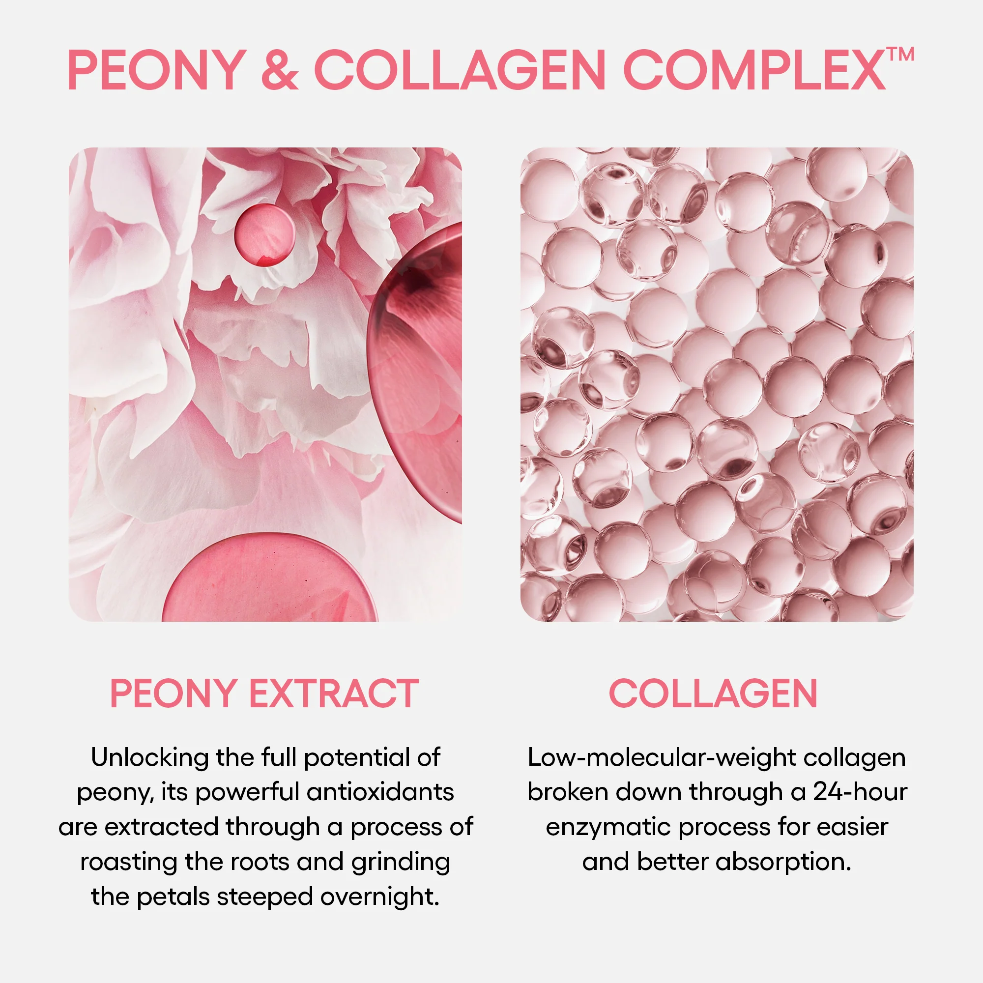 PT07_d1be1cec-e49e-4239-b4cd-20d67189eea7_jpgv1741791292